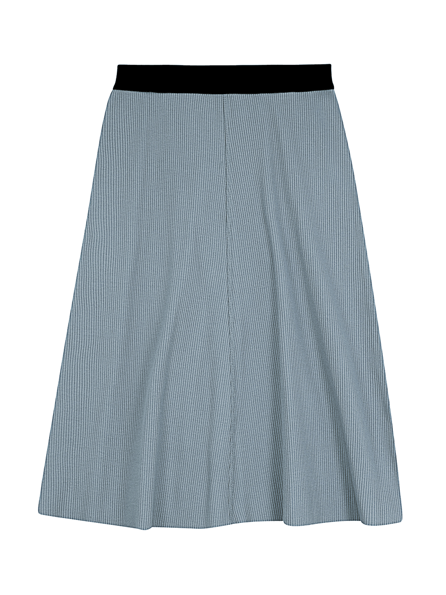 FYI Ribbed Flare Skirt FYI